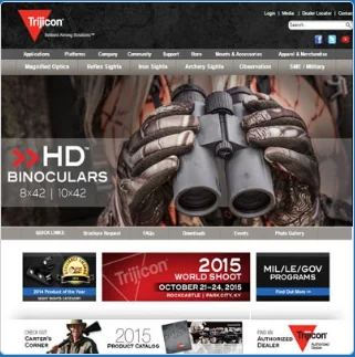 Website design project screenshot
